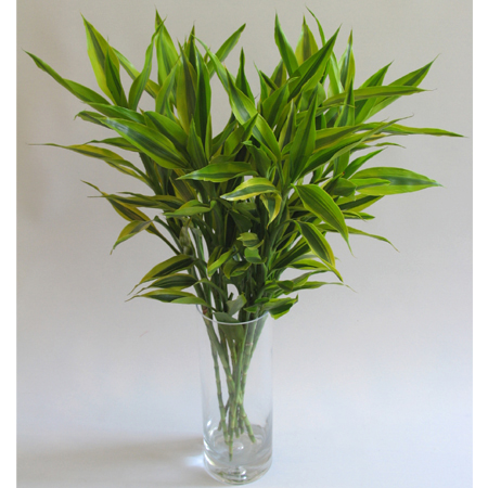 风水杂谈：聪明女人必知卧室风水忌讳