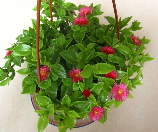 风水上卧室里床的摆放禁忌